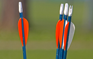 Coupe des plus de 50 ans, Coupe des Capitaines et Coupe des Arbitres